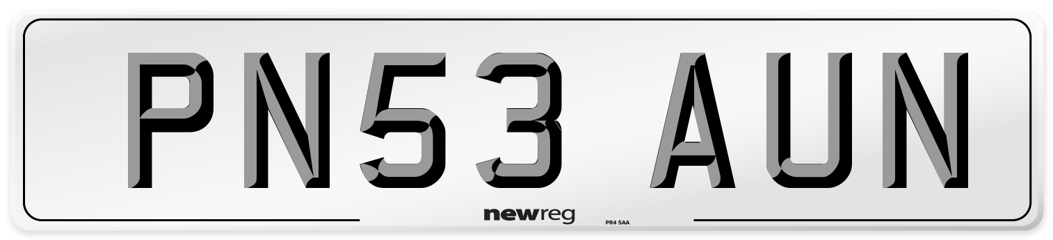 PN53 AUN Number Plate from New Reg